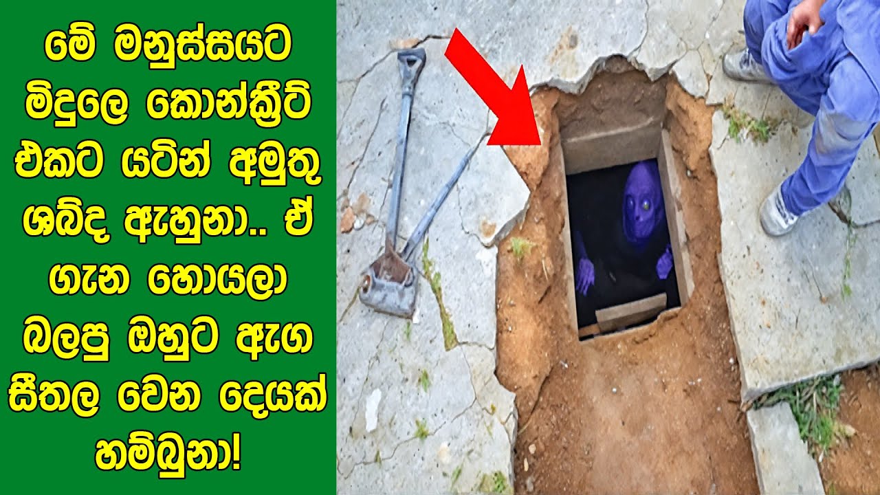 මේ මනුස්සයට මිදුලෙ කොන්ක්‍රීට් එක යටින් අමුතු ශබ්ද ඇහුනා. ඒ ගැන හොයපු ඔහුට ඇග සීතල වෙන දෙයක් හම්බුනා