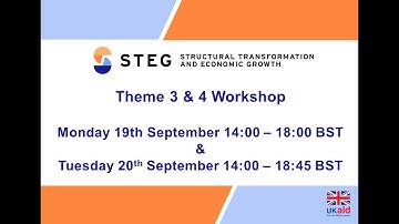 STEG Theme 3 & 4 Workshop 2022 - Day 1