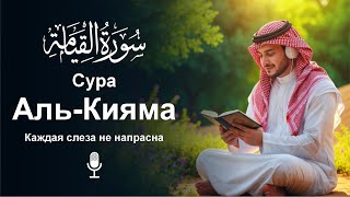 Сура Аль-Кыяма سورة القیامه | Мягкий и глубокий голос для внутреннего покоя утешение