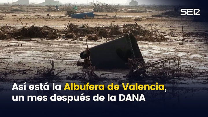 El estado de la Albufera de Valencia, víctima de la DANA