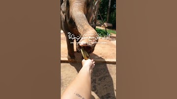 سورة الملك هي سورة مكية، من المفصل، آياتها 30، وترتيبها في المصحف 67،