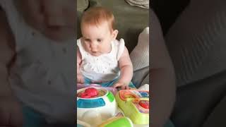 Funniest Babies And Animals Compilation I| Just baby Family