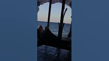 طب قولي فين هي الجنيه 