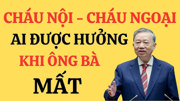 Quyền Thừa Kế Đất Của Cháu Nội – Cháu Ngoại: Bất Ngờ Với Luật 2025