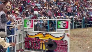 Jaripeo| Llegaron los toros de Reyes Malboro al Pueblito, Michoacán.