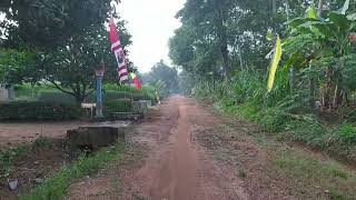 Suasana Pagi Hari, Yang Membuat Kita Rindu Dan Serasa Kembali Hidup di Dusun.