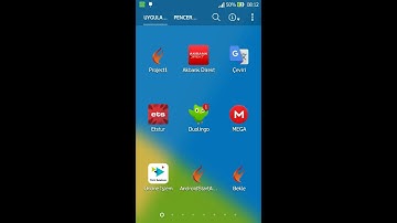 Delphi 10.2.3 Splash Screen
