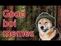 DANKEST DOGGO MEMES