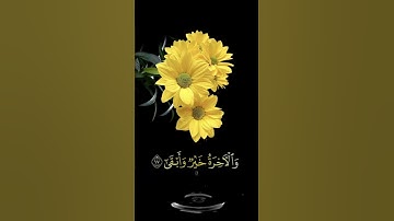 صباح الخير 🌼 حالات واتس اب مقاطع قصيره🌼 قران كريم سورة الأعلى قد أفلح من تزكى🌼احمد النفيس بدون حقوق