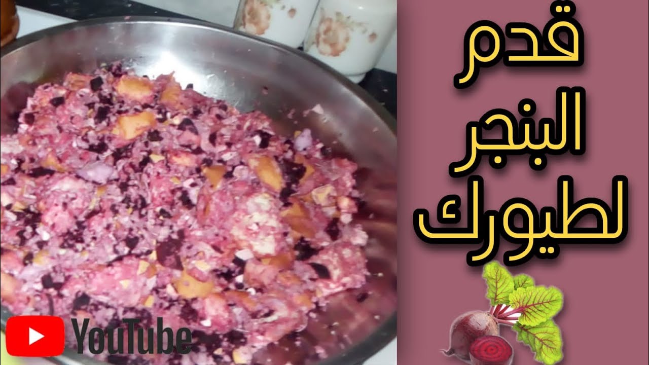 فوائد البنجر /الشمندر لطيور الزينة