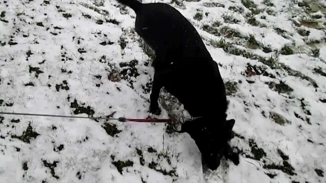 Hope Hits the First Snow