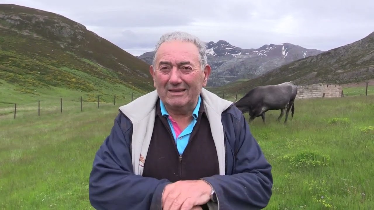 Ganaderos en su hábitat | Ganado al Puerto (I) | 26.7.2024