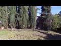 DJI video San Diego (North Clairemont)