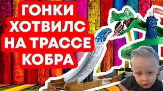 ХОТ ВИЛС МАШИНКИ ТРАССА КОБРА | ГОНКИ МАШИНКИ HOT WHEELS | видео для мальчиков