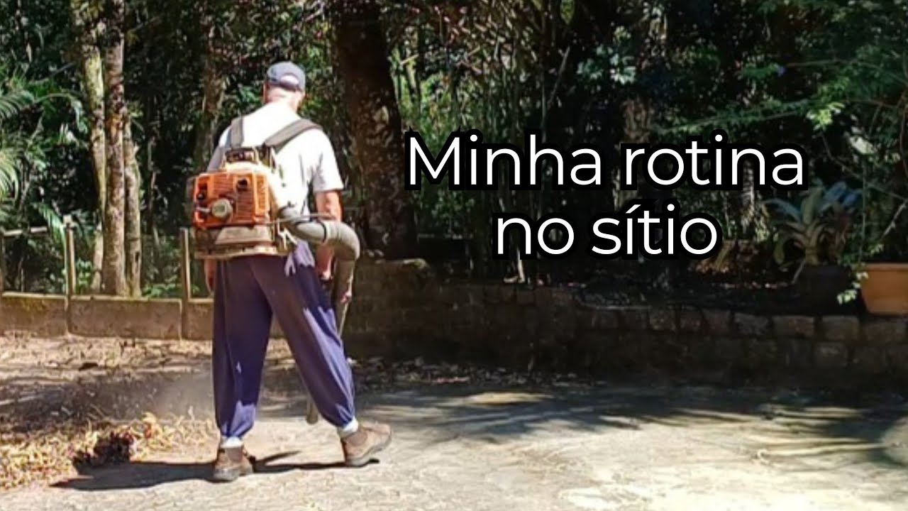 Cuidar, plantar e esperar a chuva: A beleza de uma vida sem pressa.