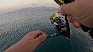 Greece - shore fishing - Amberjack on top water