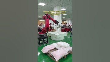 Palletizing robot#industrial robot#six-axis robot