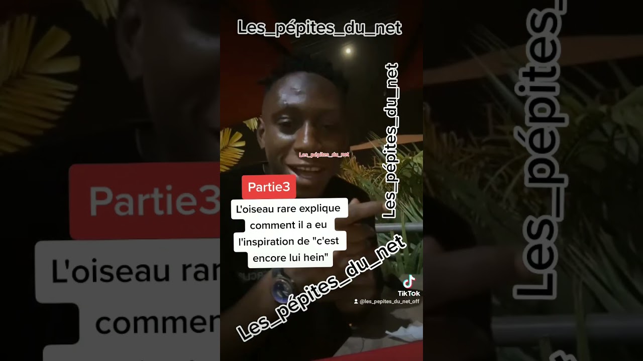 oiseau rare sur inspiration de c'est encore lui