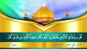 القران الكريم سورة الروم القارئ علي حسن المحمداوي