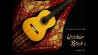 Wookie - Back up (DJ Zinc Remix)