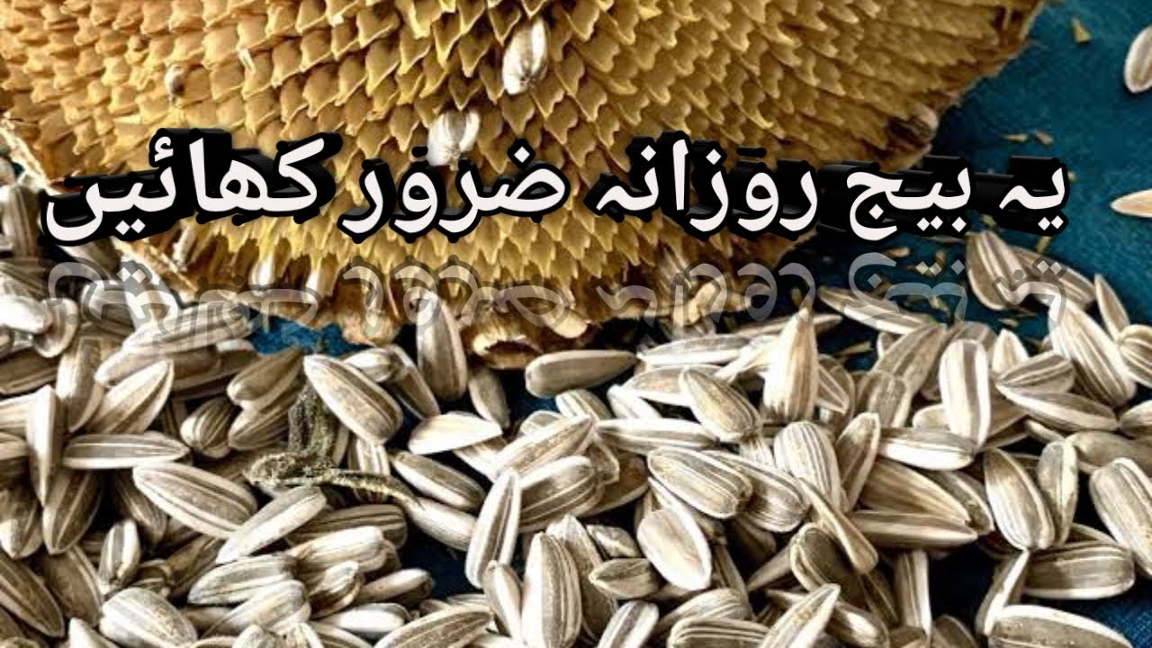 Shorts Magical Health Benefits Of Sunflower Seeds Suraj Mukhi K Beej