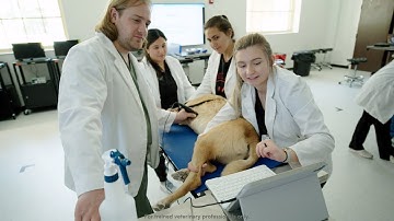 Empowering veterinary students through our one-to-one model | Butterfly Network