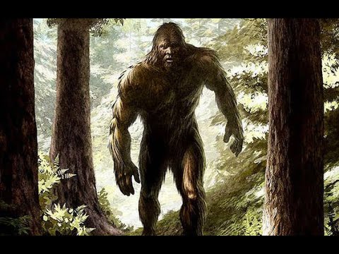 Vídeo: El Estadounidense Llevó Heces De Bigfoot Y Otras Pruebas A La Policía - Vista Alternativa