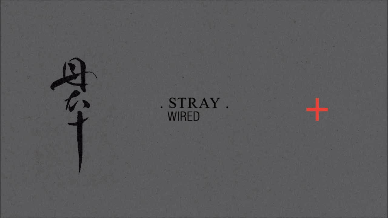 Watch Stray 'Wired' on YouTube Watch Stray 'Wired' on YouTube