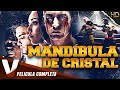 MANDÍBULA DE CRISTAL | HD | PELICULA ACCIÓN EN ESPANOL LATINO