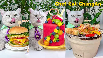 ASMR Enjoy 2023 Best Summer RECIPES With Chef Cat Cat Cooking Food Cute And Funny Cat 