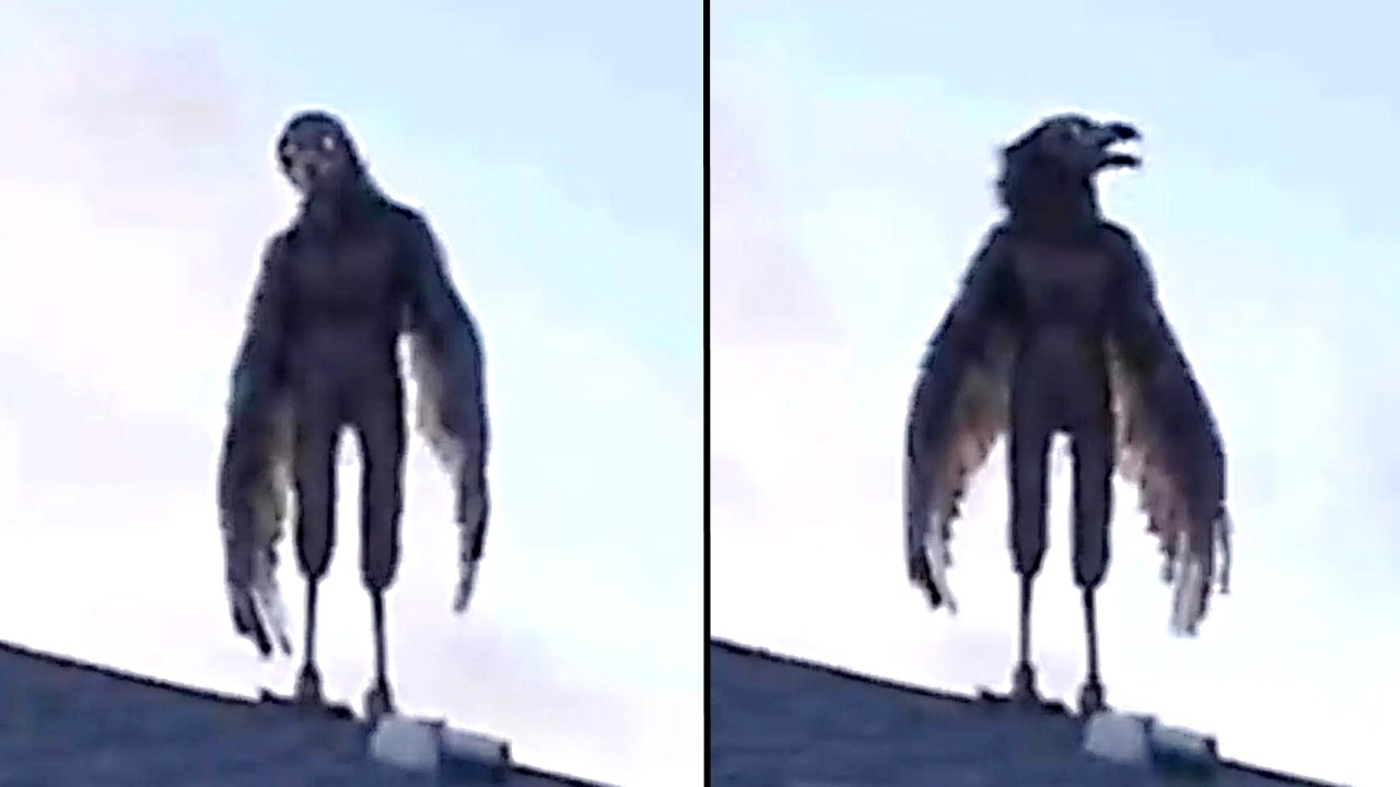 15 Unsolved Mysteries That Cannot Be Explained