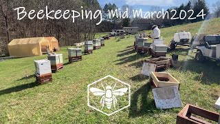 Beekeeping 2405  Mid March 2024