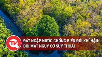 Đất ngập nước chống biến đổi khí hậu: Đối mặt nguy cơ suy thoái