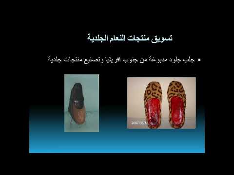 برنامج سنابل فوائد لحوم وريش النعام
