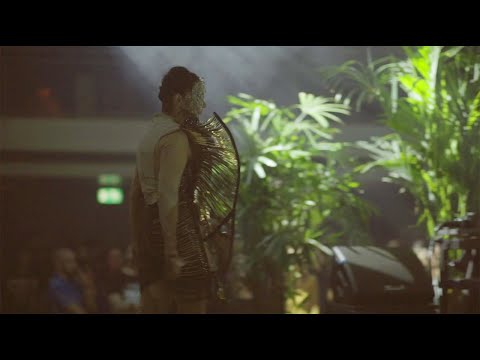 Björk surprise DJ set at Le Guess Who? 2019