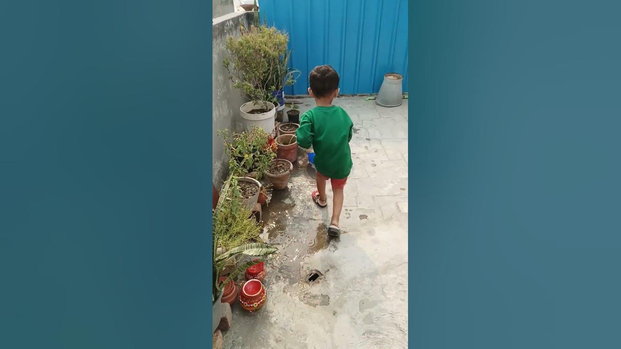 mayuk-paudhon-mein-paani-daal-raha-hai-youtube