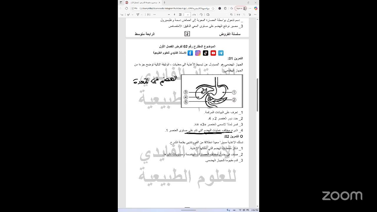 الرابعة متوسط التحضير الأفضل للفرض