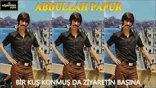 ABDULLAH PAPUR - BİR KUŞ KONMUŞ DA ZİYARETİN BAŞINA Resimi