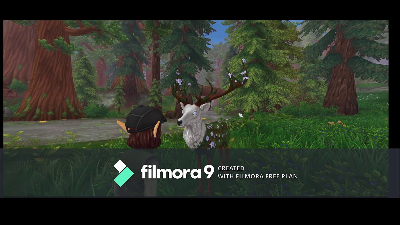 Wild Woods Update! || SSO Weekly Updates