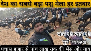 India ka sabse Bada Animal Mela  😲 | ₹50,000 Se ₹5 Lakh Tak Gay-Bhains