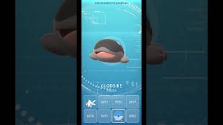 Evolving PALDEAN WOOPER to CLODSIRE in Pokemon Go #pokemongo #pokemon