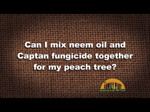 Video: Hoe werkt captan-fungicide?