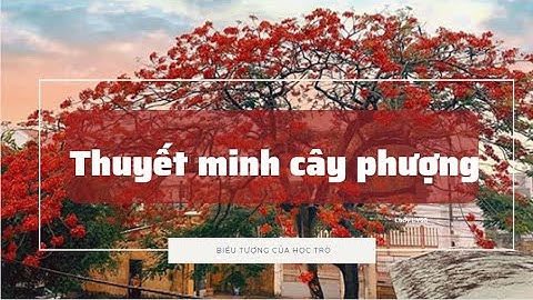 Bài văn miêu tả cây phượng lớp 9 năm 2024