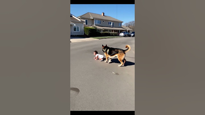 “Family’s Guardian Angel Dog”#dog #pets #shorts “                 Video Content Intended for Adults”