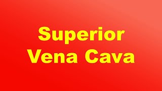 Superior Vena Cava I  Blood Flow
