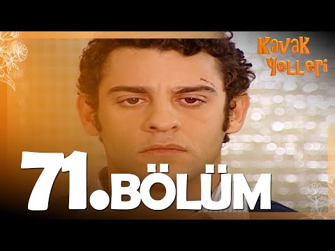 Kavak Yelleri 71. Bölüm - FULL Bölüm