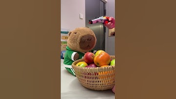 Player 457, step forward! #squidgame #capybara #funny #cute #netflix