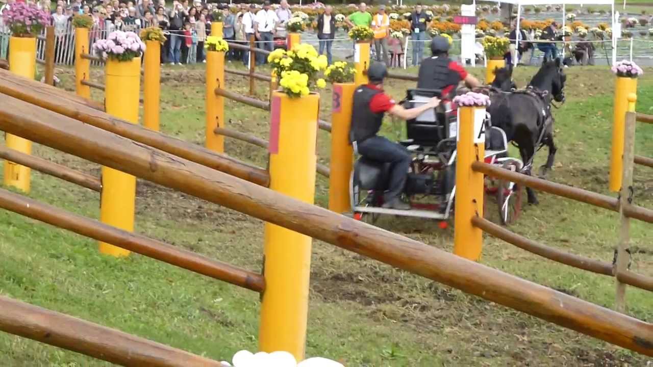 FREUND Marco, GER, WCH Ponies, Pau 2013, Pony Pair, Marathon, O 2