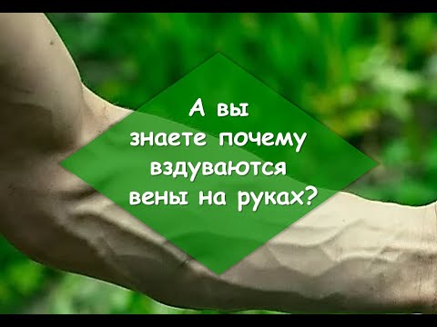 Почему вздуваются вены на👉🏻руках