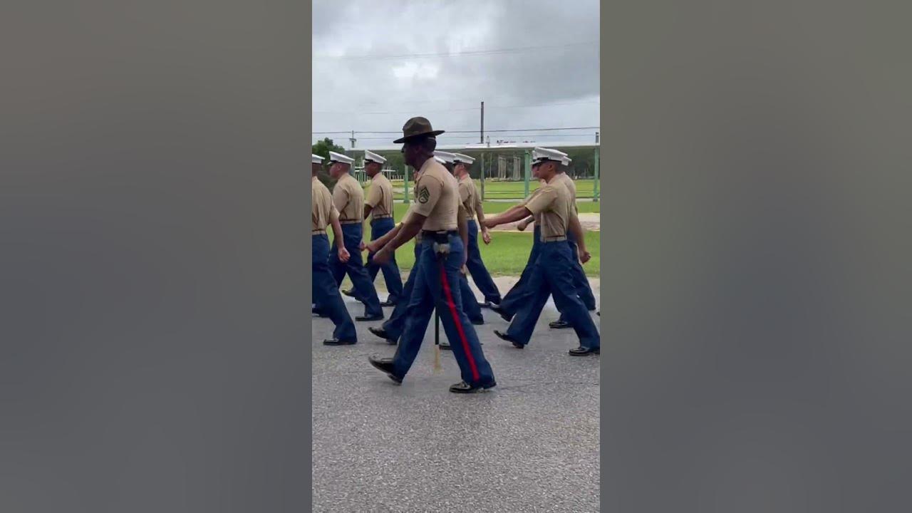 USMC Graduation #shorts #usmcveteran #military #usmilitary #usmc #marine #marinecorp #graduation